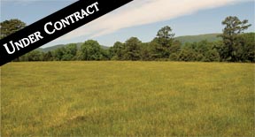 WESTERN ALBEMARLE INVESTMENT PARCEL