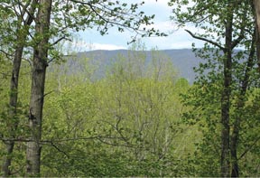 Crozet Investment Property